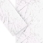 Пластиковая вагонка PR42 25*6m 6mm (1cut=7.5m2) ILA5282