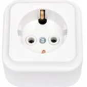 Розетка 2P+E белая СВПР ПРАЛЕСКА