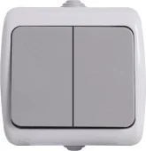 Выключатель двухклавишный  IP44, серый