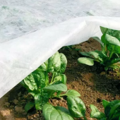 Агроволокно 17г/м2, 1м*50м белое