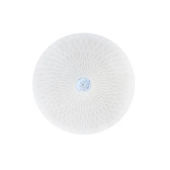 Светильник для потолка RADIUS-48 48 Вт LED 6400 K 180-265V IP20 белый Horoz