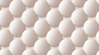 Виниловые Обои на Флизелиновой Основе  SINTRA ROTONDO 1,06м х 10,05м