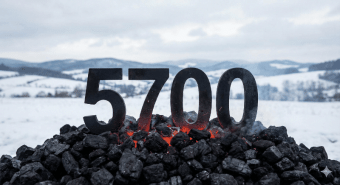 Carbune AM / Уголь (орешек) (40kg) Standart POV