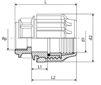 Муфта компрессионная с внутренней трубной резьбой PN16 Ø25x3/4” для ПНД (PE) труб RTP