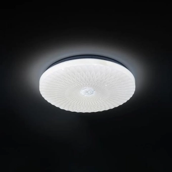 Светильник для потолка RADIUS-36 36 Вт LED 6400 K 180-265V IP20 Horoz