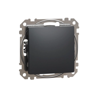Выключатель одноклавишный проходной Schneider-Electric SDD114106 sedna 10 A 250 В антрацит