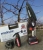 Цепная мини-пила на аккумуляторе для чистки деревьев, 20V, 3800rpm, 650W, 153mm, CEC06-B, Makute
