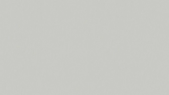 Виниловые Обои на Флизелиновой Основе SINTRA FLORENTIA UNI 276365 0,53x10 м