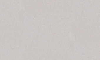 Обои виниловые на бумажной основе KATRIN  Фон 0,53 х 10 м серые BelVinil 0491-21