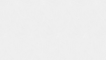 Виниловые Обои на Флизелиновой Основе BIANCA UNI 0,53x10 м