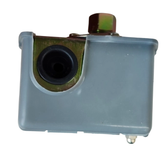 Реле давления для водяного насоса FI - 1/4"