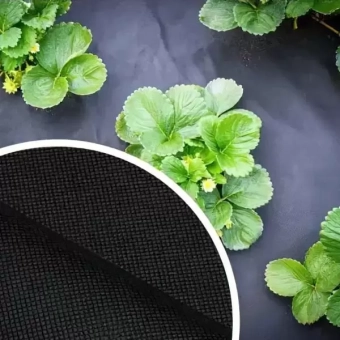 Агроткань от сорняков  50g/m², 1.6*100m Черная PROFMET