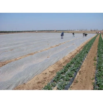 Агроволокно укрывное Agreen 19 гр/м2  3,2*10 м (32 м2) 